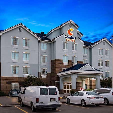 Comfort Suites New Orleans East Kültér fotó